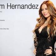 Il testo Y VETE YA di MYRIAM HERNANDEZ è presente anche nell'album Myriam hernandez iv (1994)