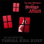 Il testo GLAMOUR IS A ROCKY ROAD di MY LIFE WITH THE THRILL KILL KULT è presente anche nell'album The kult kollection