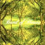 Il testo EVEN STILL dei BAND OF HORSES è presente anche nell'album Why are you ok (2016)