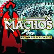 Il testo ESTAS SELECCIONADA dei BANDA MACHOS è presente anche nell'album Estas seleccionada (2009)