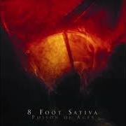 Il testo EMANCIPATE di 8 FOOT SATIVA è presente anche nell'album Poison of ages (2007)