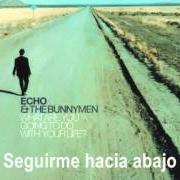 Il testo WHEN IT ALL BLOWS OVER degli ECHO AND THE BUNNYMEN è presente anche nell'album What are you going to do with your life? (1997)