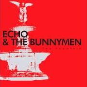 Il testo FORGOTTEN FIELDS degli ECHO AND THE BUNNYMEN è presente anche nell'album The fountain (2009)