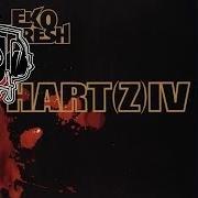 Il testo FACKELN IM STURM di EKO FRESH è presente anche nell'album Hart(z) iv (2006)