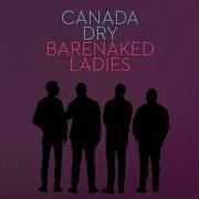 Il testo NOBODY BETTER di BARENAKED LADIES è presente anche nell'album Fake nudes (2017)