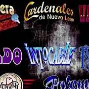 Il testo TE QUIERO degli EL PODER DEL NORTE è presente anche nell'album Cumbias con poder (2003)