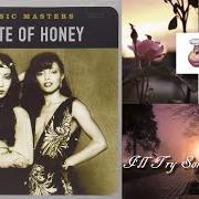 Il testo I'LL TRY SOMETHING NEW degli A TASTE OF HONEY è presente anche nell'album Ladies of the eighties