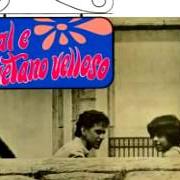 Il testo AVARANDADO di GAL COSTA è presente anche nell'album Domingo (1967)