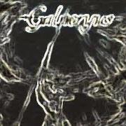Il testo FATE OF THE SADNESS dei GALNERYUS è presente anche nell'album Advance to the fall (2005)