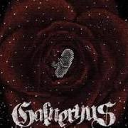 Il testo WIND OF CHANGE dei GALNERYUS è presente anche nell'album Reincarnation (2008)