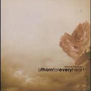 Il testo A NIGHT TO REMEMBER, A MORNING TO FORGET di A THORN FOR EVERY HEART è presente anche nell'album Silence is golden [ep] (2003)