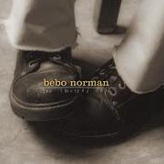 Il testo SELWOOD FARMS di BEBO NORMAN è presente anche nell'album Ten thousand days (1999)