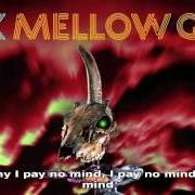 Il testo STEAL MY BODY HOME di BECK è presente anche nell'album Mellow gold (1994)