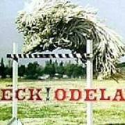 Il testo JACK-ASS di BECK è presente anche nell'album Odelay (1996)