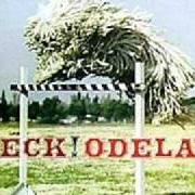 Il testo BURRO di BECK è presente anche nell'album Odelay (1996)