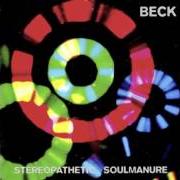 Il testo HOLLOW LOG di BECK è presente anche nell'album One foot in the grave (1994)