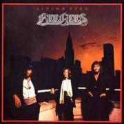 Il testo WILDFLOWER dei BEE GEES è presente anche nell'album Living eyes (1981)