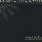 Il testo TAKE MY PAIN dei BEFORE THE DAWN è presente anche nell'album My darkness (2003)