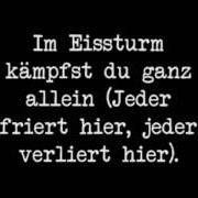 Il testo WARUM? dei NEVADA TAN è presente anche nell'album Niemand hört dich (2007)