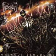Il testo SCOURGING REPUDIATION dei BEHEADED è presente anche nell'album Ominous bloodline (2005)