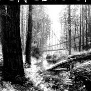 Il testo FORGOTTEN EMPIRE OF DARK WITCHCRAFT dei BEHEMOTH è presente anche nell'album And the forests dream eternally - ep (1994)