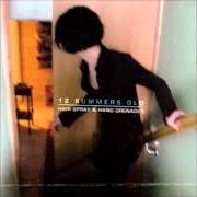 Il testo HARD TO BE COOL di 12 SUMMERS OLD è presente anche nell'album Hair spray & hand grenades (2006)
