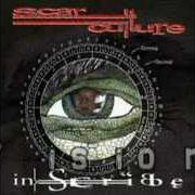 Il testo VISION degli SCAR CULTURE è presente anche nell'album Inscribe (2001)