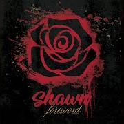 Il testo ALL I DO di SHAWN STOCKMAN è presente anche nell'album Foreword (2020)