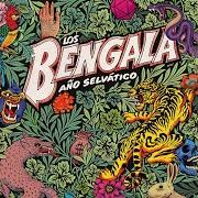 Il testo SALVAJE (LOS SAICOS) di BENGALA è presente anche nell'album Año selvático (2017)