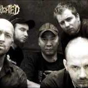 Il testo COLLAPSE dei BENIGHTED è presente anche nell'album Identisick (2006)