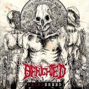 Il testo MASS GRAVE dei BENIGHTED è presente anche nell'album Necrobreed (2017)