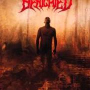 Il testo SMILE THEN BLEED dei BENIGHTED è presente anche nell'album Icon (2007)