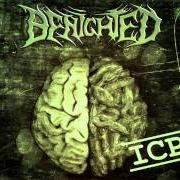 Il testo STAY BRUTAL dei BENIGHTED è presente anche nell'album Icp - insane cephalic production (2004)
