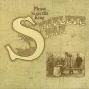 Il testo PRINCE CHARLIE STUART degli STEELEYE SPAN è presente anche nell'album Please to see the king (1971)