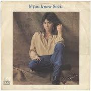 Il testo DON'T CHANGE MY LUCK di SUZI QUATRO è presente anche nell'album If you knew suzi (1978)