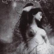 Il testo FRAGILE degli SWALLOW THE SUN è presente anche nell'album Ghosts of loss (2005)