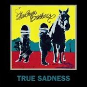 Il testo TRUE SADNESS dei THE AVETT BROTHERS è presente anche nell'album True sadness (2016)
