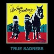 Il testo DIVORCE SEPARATION BLUES dei THE AVETT BROTHERS è presente anche nell'album True sadness (2016)