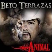Il testo MI DESGRACIA dei BETO TERRAZAS è presente anche nell'album Con los pies en la tierra (2006)