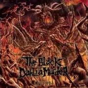Il testo VLAD, SON OF THE DRAGON dei THE BLACK DAHLIA MURDER è presente anche nell'album Abysmal (2015)