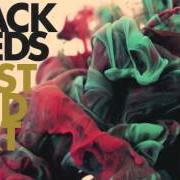 Il testo THE BEND dei THE BLACK SEEDS è presente anche nell'album Dust and dirt (2012)