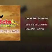 Il testo CHIQUILLA dei BETO Y SUS CANARIOS è presente anche nell'album Loco por tu amor (2009)
