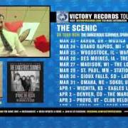 Bipolaroid Bipolaroid