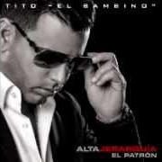 Il testo TE COMENCÉ A QUERER di TITO EL BAMBINO è presente anche nell'album El patron (2009)