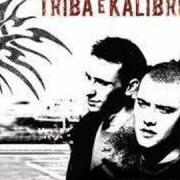 Il testo MUSA CIECA di TRIBA E KALIBRO è presente anche nell'album Colpisci (2007)