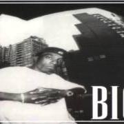 Il testo STILL HERE di BIG L è presente anche nell'album The archives 1996-2000 (2006)