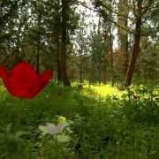 Secret place [single]