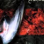 Il testo VOR DEN WORTEN dei VANITAS è presente anche nell'album Der schatten einer existenz (2002)