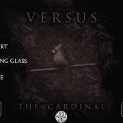 Il testo POLY dei VERSUS è presente anche nell'album The cardinal (2017)