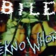 Il testo GREEN DAY dei BILE è presente anche nell'album Teknowhore (1996)